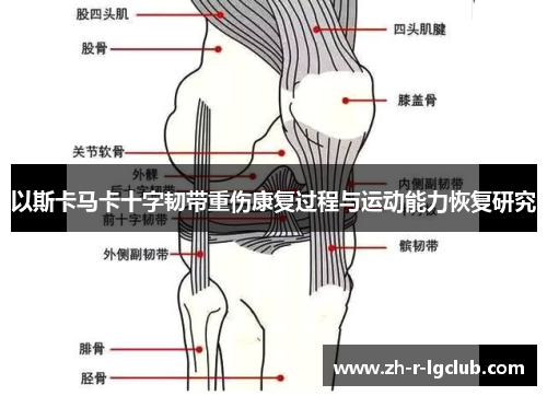以斯卡马卡十字韧带重伤康复过程与运动能力恢复研究